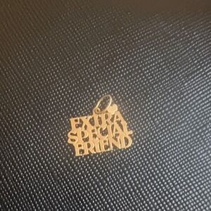 10k gold charm only says extra special friend